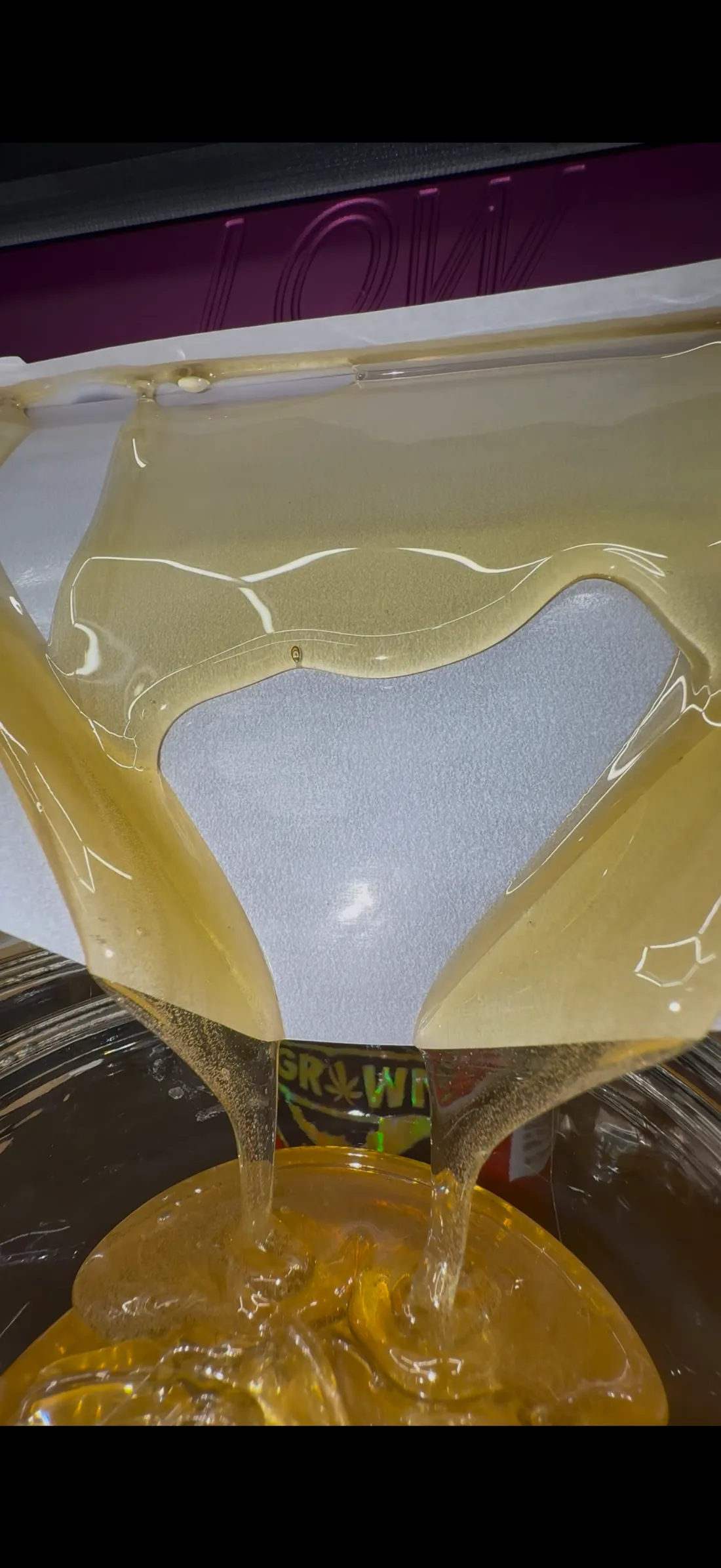 Live rosin pressing out between parchment